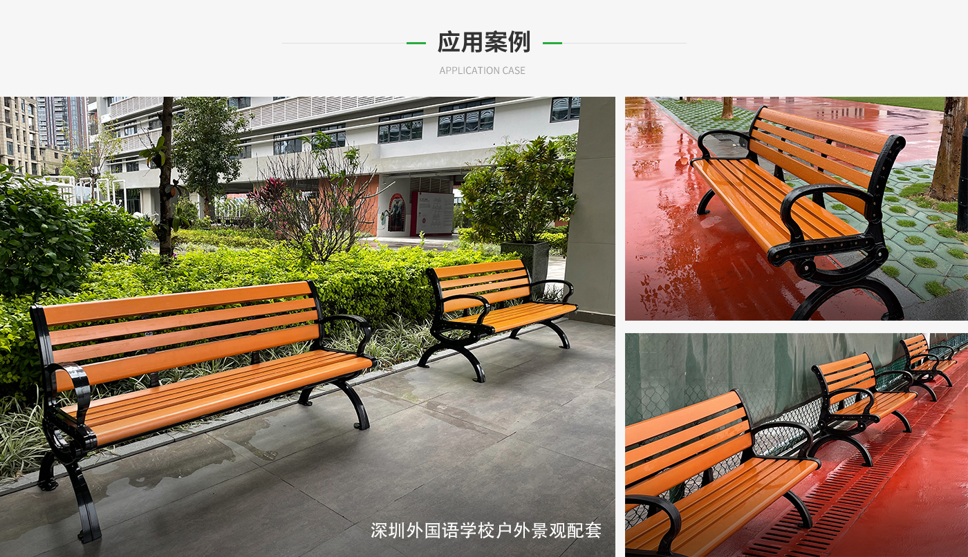 深圳外国语学校 深圳外国语学校